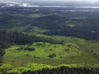 Amazônia