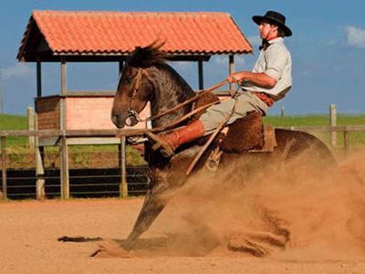 Equinocultura