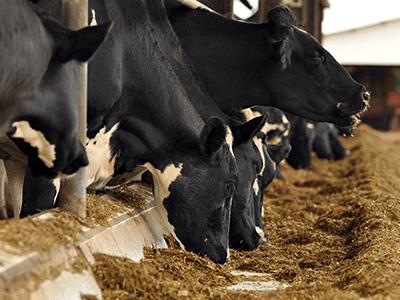Agricultura