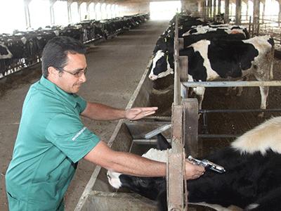 Agricultura