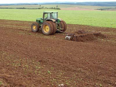 Agricultura