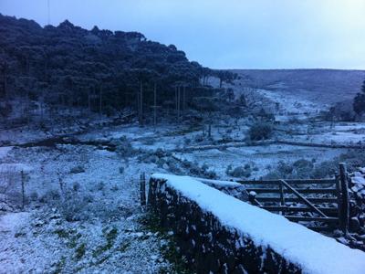Neve