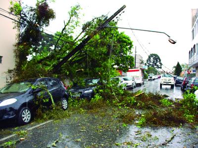 Temporal derruba árvores no centro 