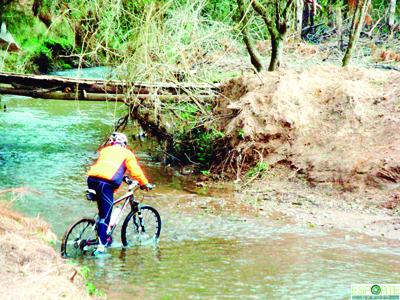 Mountain Bike