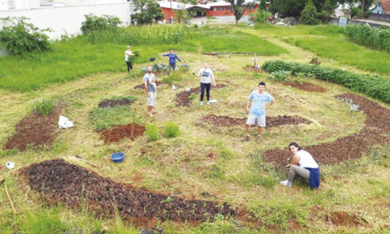 Horta comunitária incentiva voluntários a cultivar plantas orgânicas no Centro
