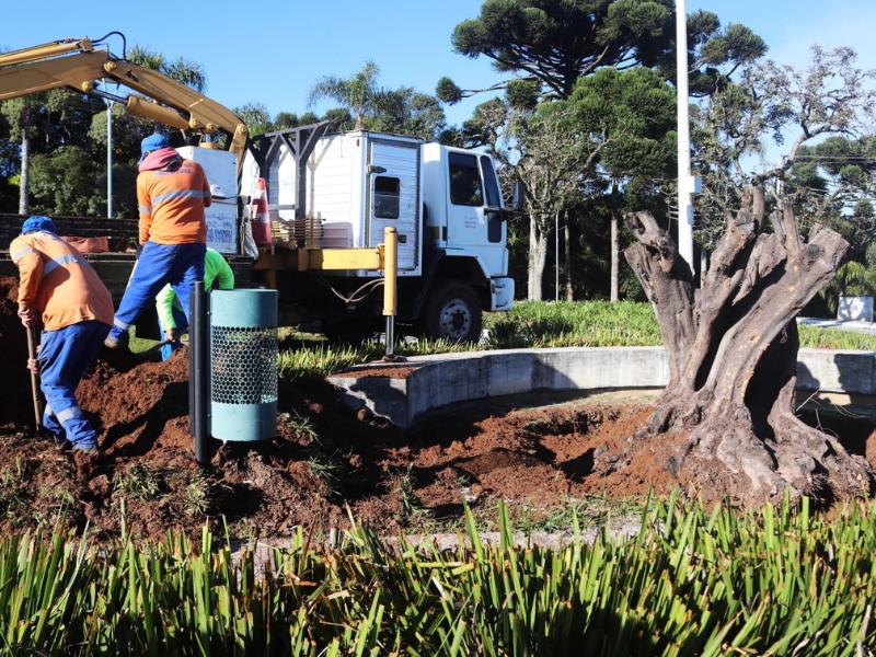 Duas oliveiras centenárias são plantadas no Parque Newton Puppi
