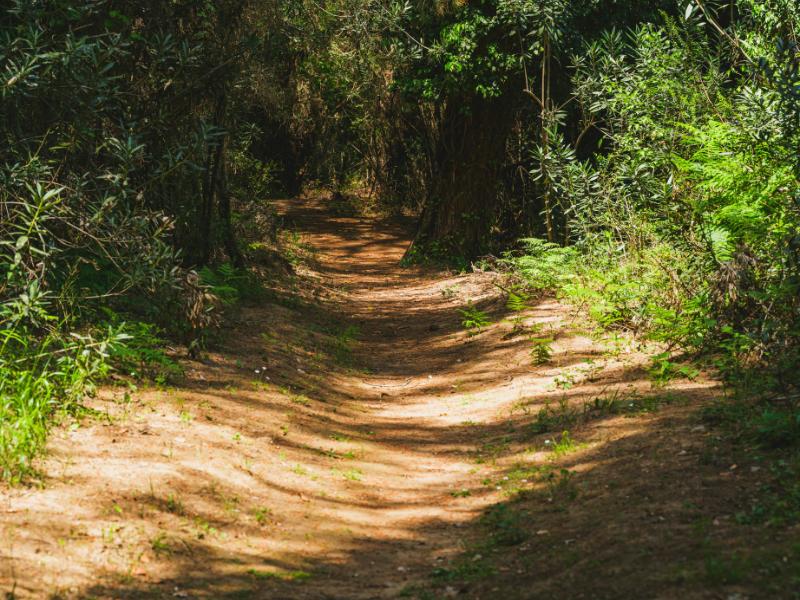 Bateias recebe 2ª Caminhada na Natureza no dia 31 de maio