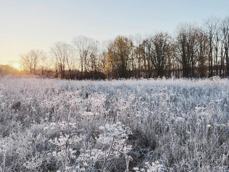Balanço do inverno aponta que Paraná teve chuvas e temperaturas acima da média 