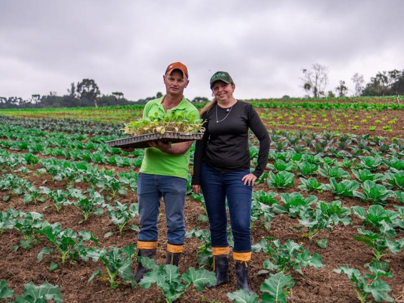 Festa do Agricultor valoriza famílias que movimentam a produção rural de Campo Largo