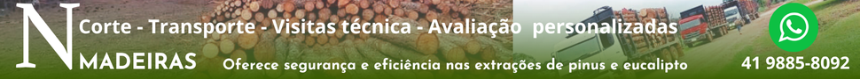 N Madeiras busca por áreas com plantação de pinus e eucalipto para compra e extração