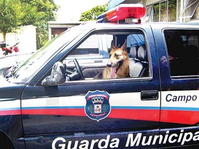 Guarda Municipal 