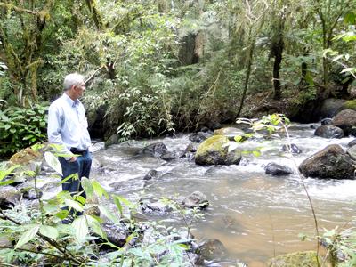 Flona do Açungui
