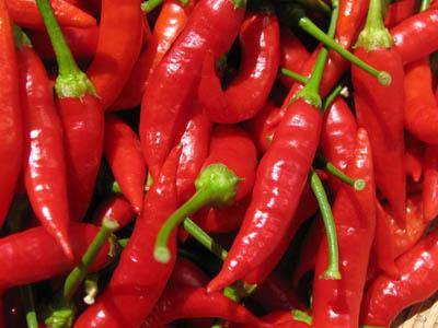 Pimenta