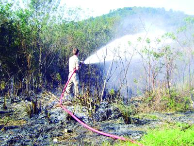 Incêndio ambiental assusta moradores em Bateias