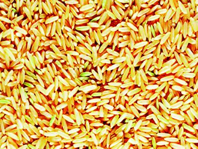 Arroz