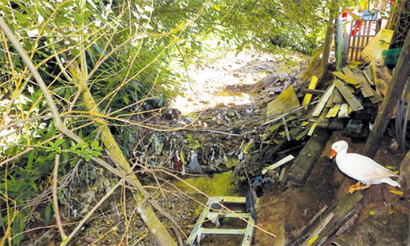 Casas construídas dentro do rio são problema no Albina Grigoletti