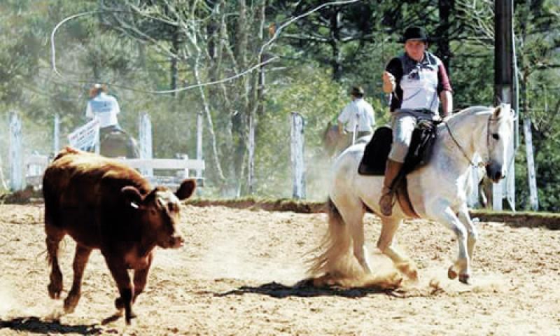 Campo-larguense é eleito o melhor laçador de 2017