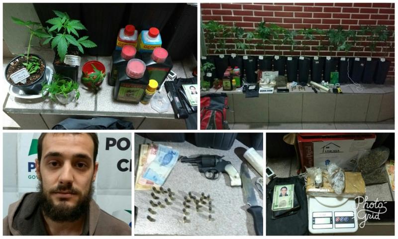 PM descobre laboratório de Maconha na Vila Bancária