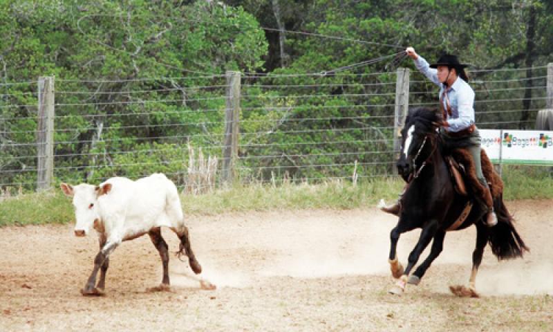 Campo-larguense campeã brasileira de Laço ganha novos títulos