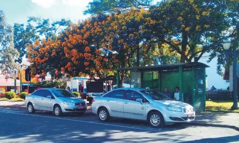 Taxistas terão que participar de licitação para poderem atuar após aprovação de nova Lei