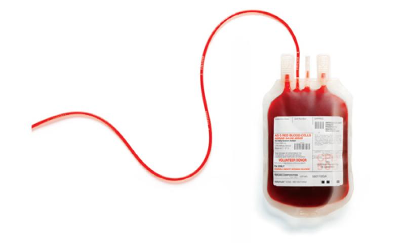 O longo caminho do sangue
