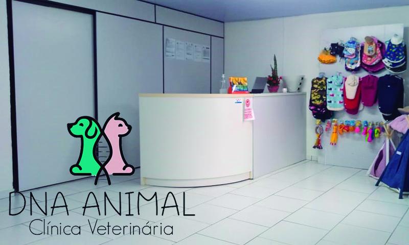 Atendimento profissional e zeloso com o pet na DNA Animal Clínica Veterinária 