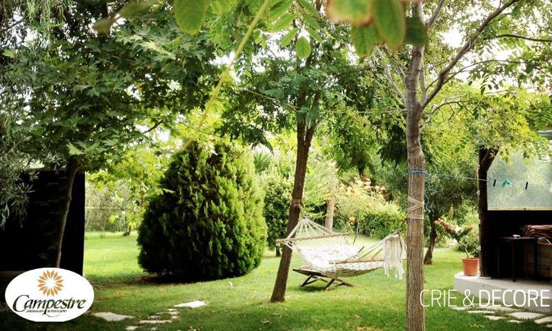 Hora de deixar seu jardim bonito para o fim de ano