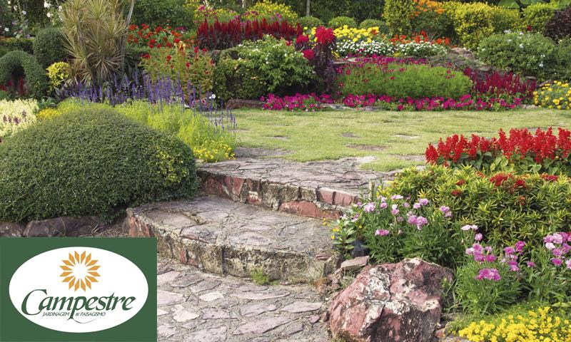 Jardim mais harmônico e bonito com a Campestre Jardinagem e Paisagismo