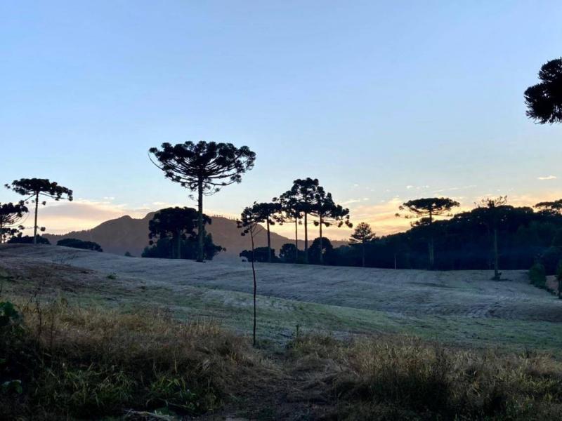 Paraná registra novas temperaturas negativas com a mais intensa massa de ar frio do ano