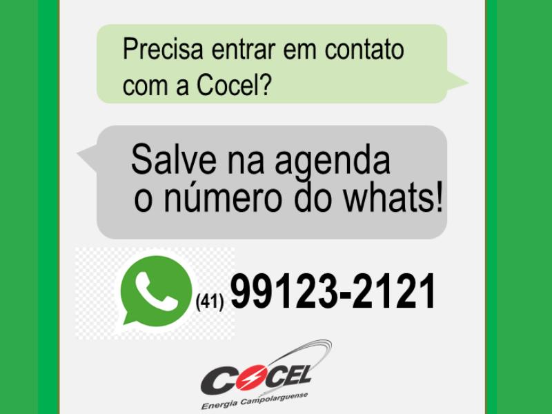 Cocel no Whatsapp: mais uma opção de atendimento on-line aos consumidores