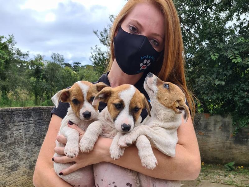 Instituto SOS 4Patas possui altos valores de dívidas e animais disponíveis para adoção