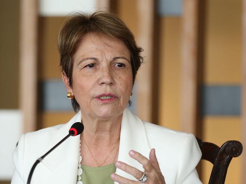 Decisão chinesa é primeiro passo para derrubar veto à carne brasileira