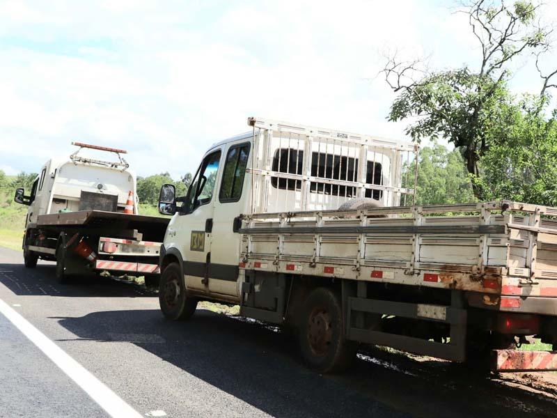DER/PR lança edital para contratar serviços de guincho para o Anel de Integração 