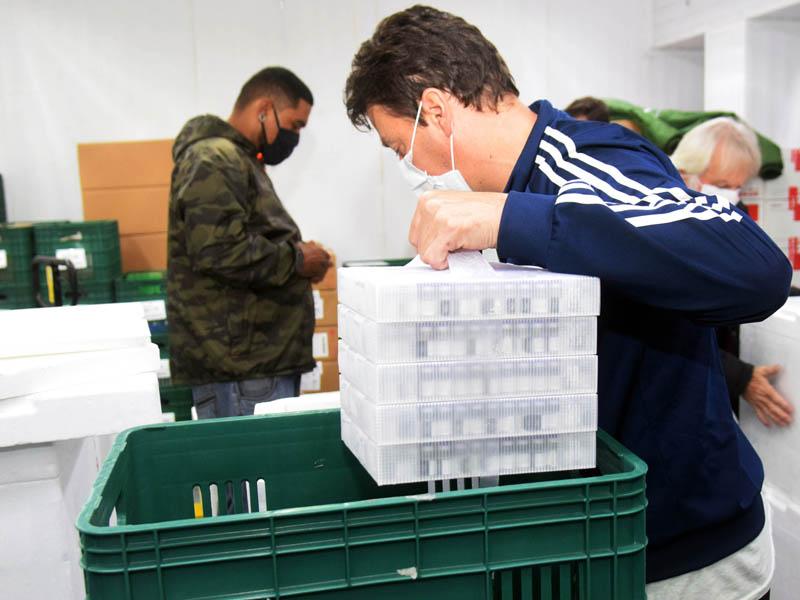 Estado vai receber mais 450,4 mil vacinas contra a Covid-19 nesta quarta-feira