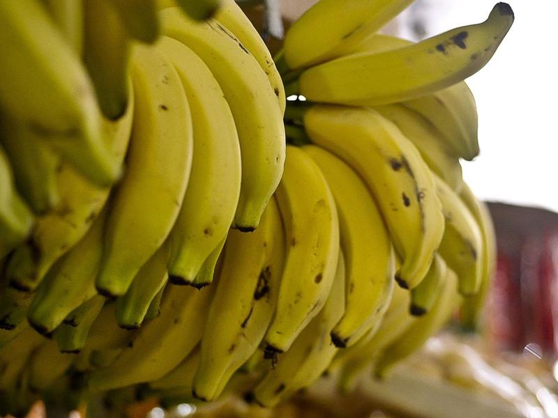 Conab: menor oferta eleva preços de hortaliças e frutas em setembro