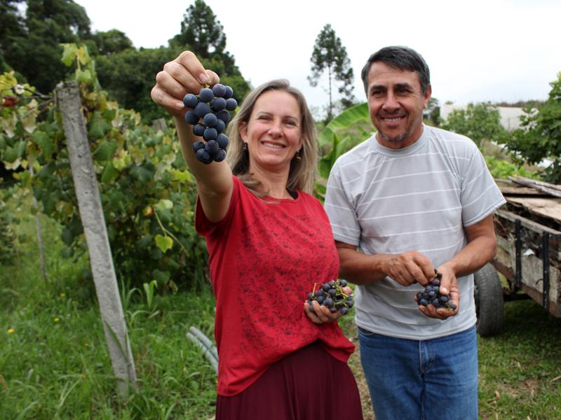 Certificação do Tecpar valoriza produtos orgânicos da RMC e dá segurança ao consumidor