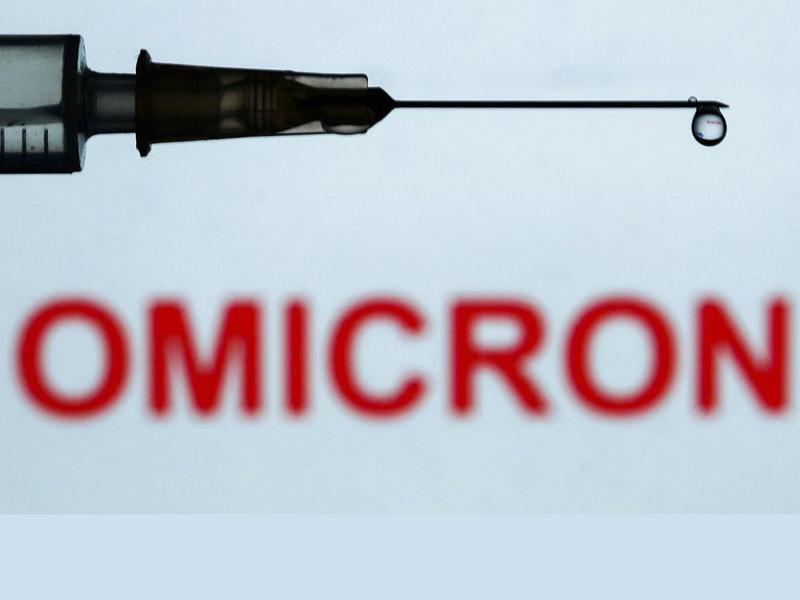 Descoberta de Ômicron em animais em Nova York gera preocupação 