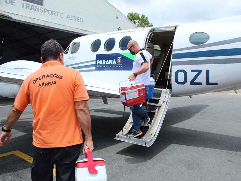 Com rede robusta, Paraná mantém protagonismo nacional em transplantes de órgãos