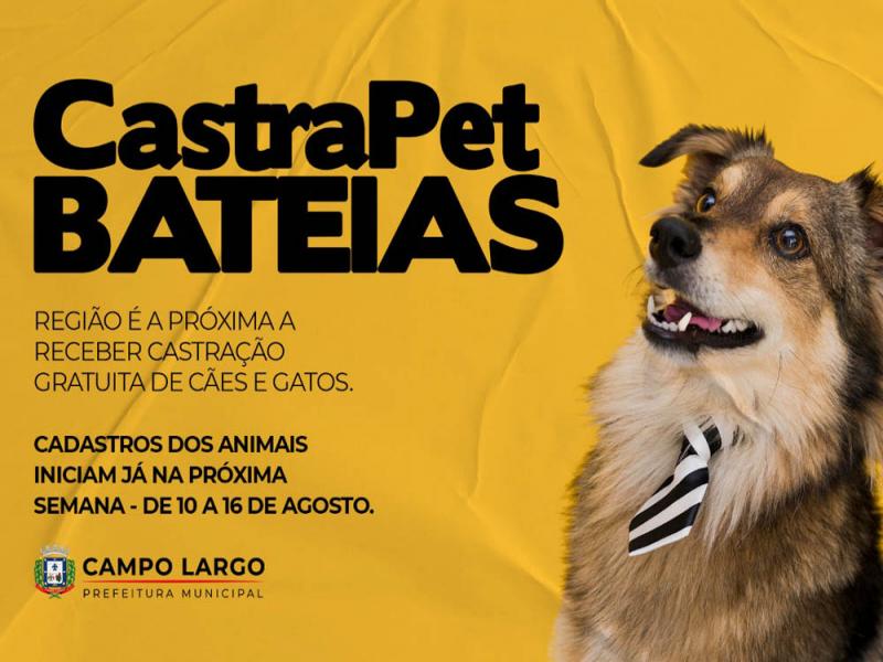 Bateias é a próxima região a receber castração gratuita de cães e gatos