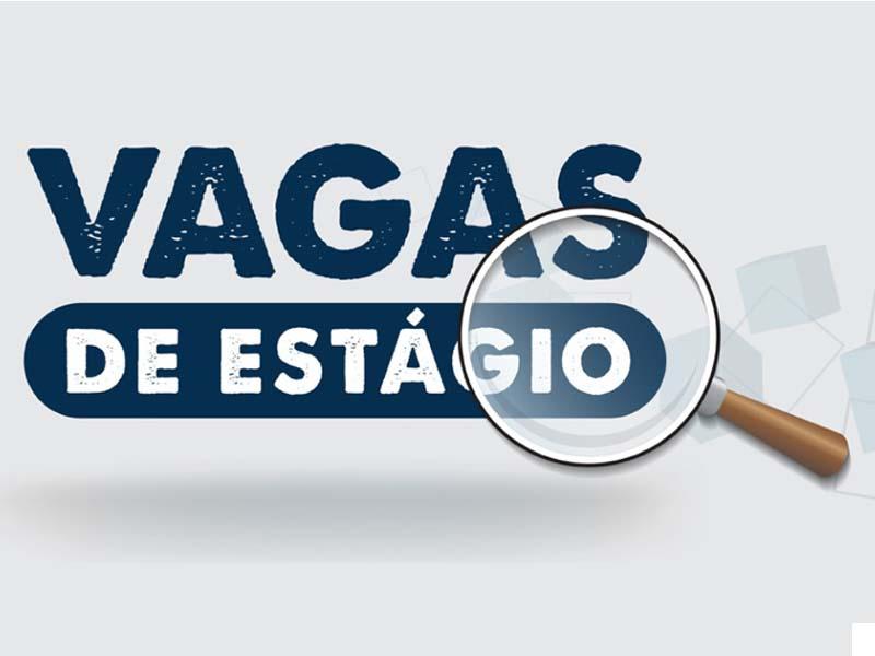 Polícia Civil abre vagas de  estágio em Campo Largo e região