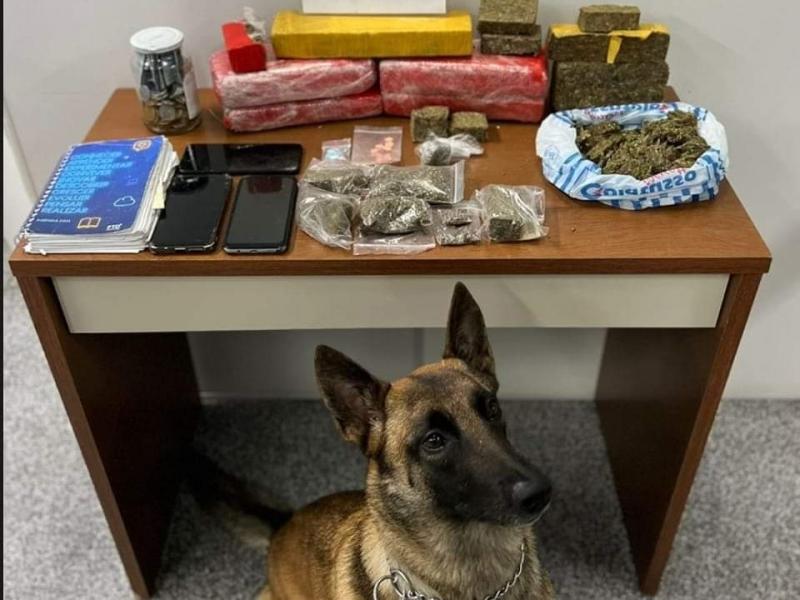Equipe K-9 detém trio e encontra maconha e ecstasy em Campo Largo