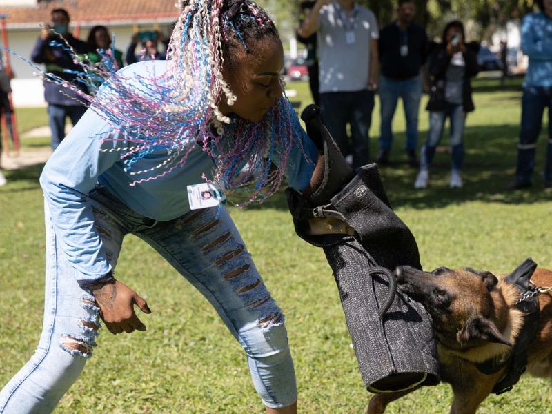 Ataque de cães é principal causa de acidente de trabalho dos leituristas da Sanepar
