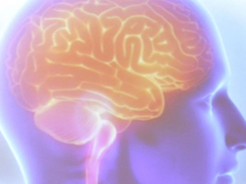 Organização Mundial do AVC alerta que 90% dos derrames são preveníveis