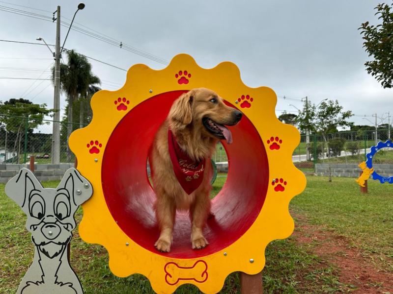 Parque Newton Puppi agora tem Parcão