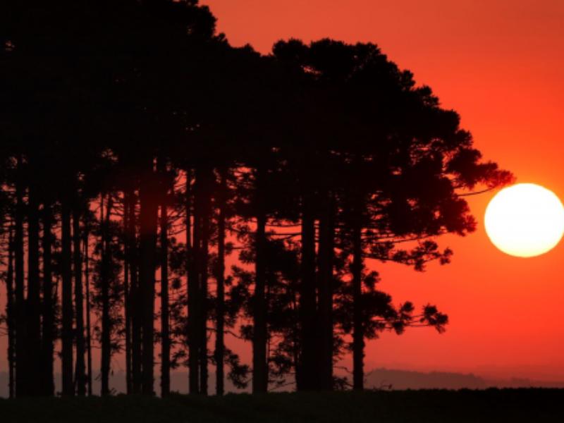 Com inverno de 30° c, estado alerta para os cuidados básicos com a saúde