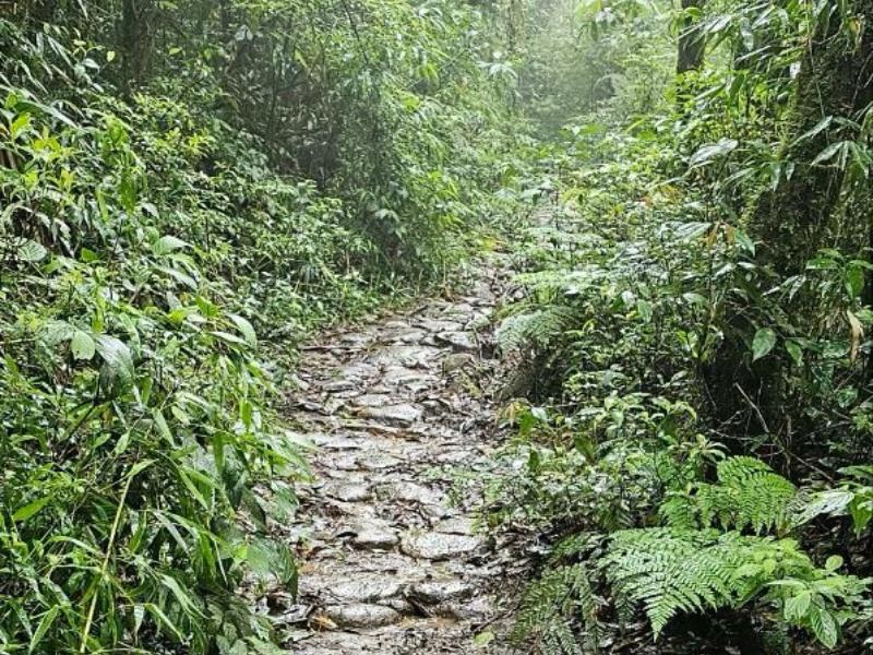 Dakila Pesquisas mapeia caminhos que interligam continentes