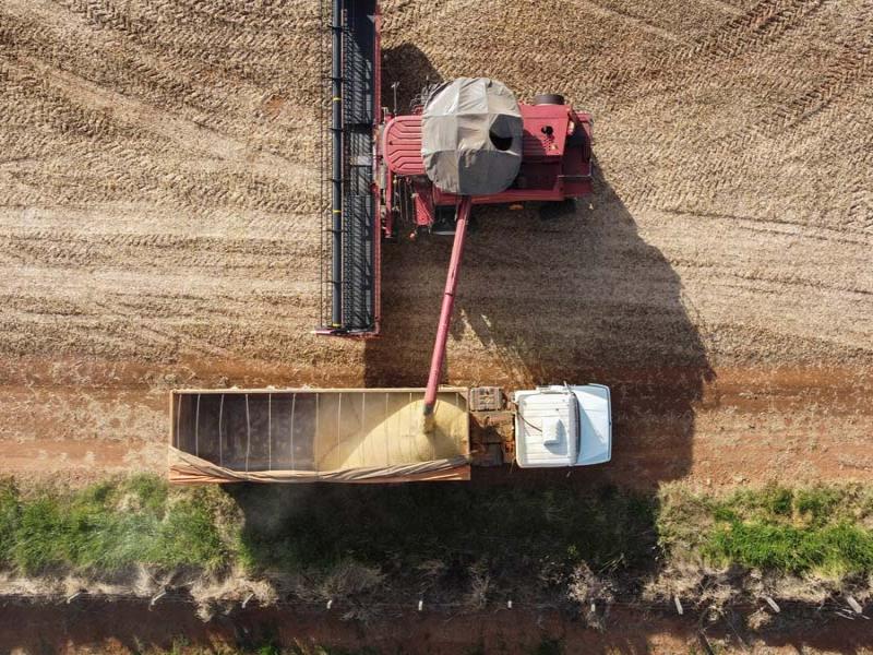 35 cidades do Paraná têm Valor Bruto da Produção Agropecuária superior a R$ 1 bilhão