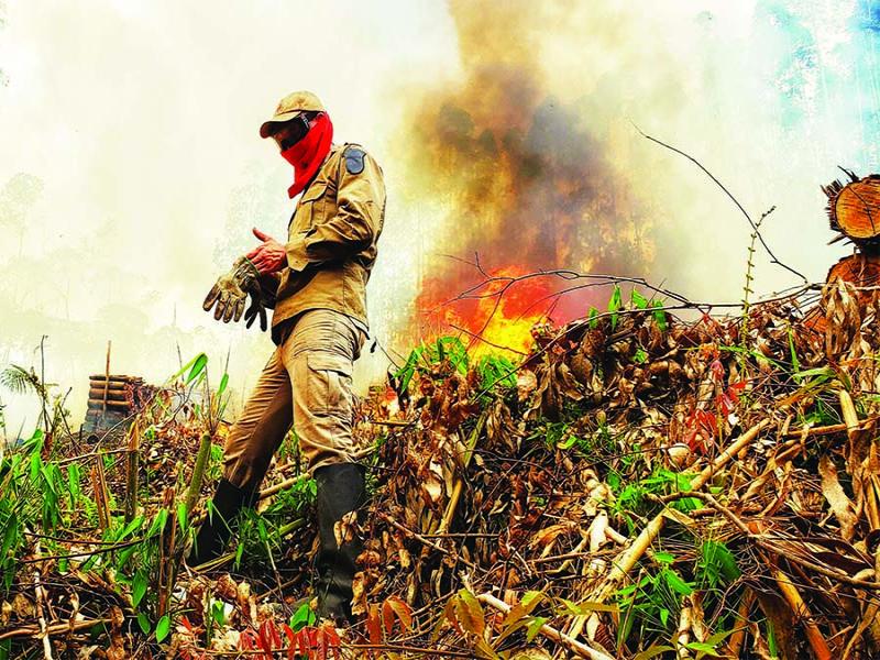 Número de incêndios em vegetação em Campo  Largo tem aumento de 60% em relação a 2023