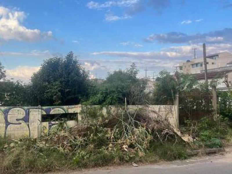 Moradores do Ferraria reclamam de terreno tomado pelo mato e utilizado para tráfico e uso de entorpecentes