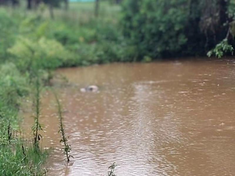 Mulher é encontrada sem vida dentro de um tanque no Distrito de Bateias 